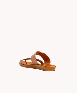Allegro slide|Isabella Anselmi Best