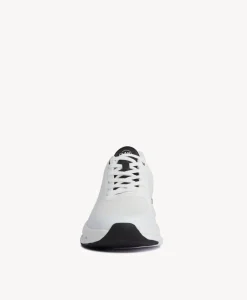 Dodge Sneaker|D48 Sale