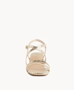 Doris Strappy Sandal|Isabella Anselmi New