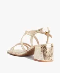 Doris Strappy Sandal|Isabella Anselmi New