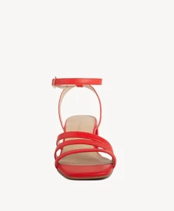 Dorothy Strappy Heel|Isabella Anselmi New
