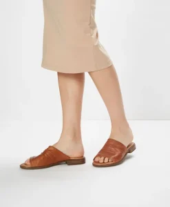 Iyla slide|Isabella Anselmi Online