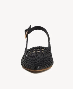 Janet Slingback|Isabella Anselmi New